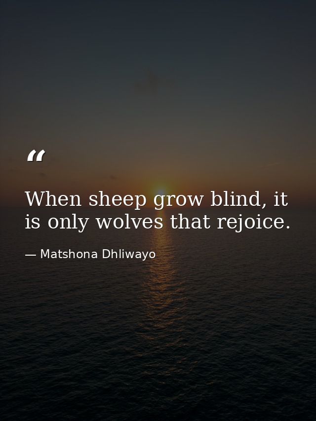 When sheep grow blind, it is only wolves that rejoice. — Matshona Dhliwayo