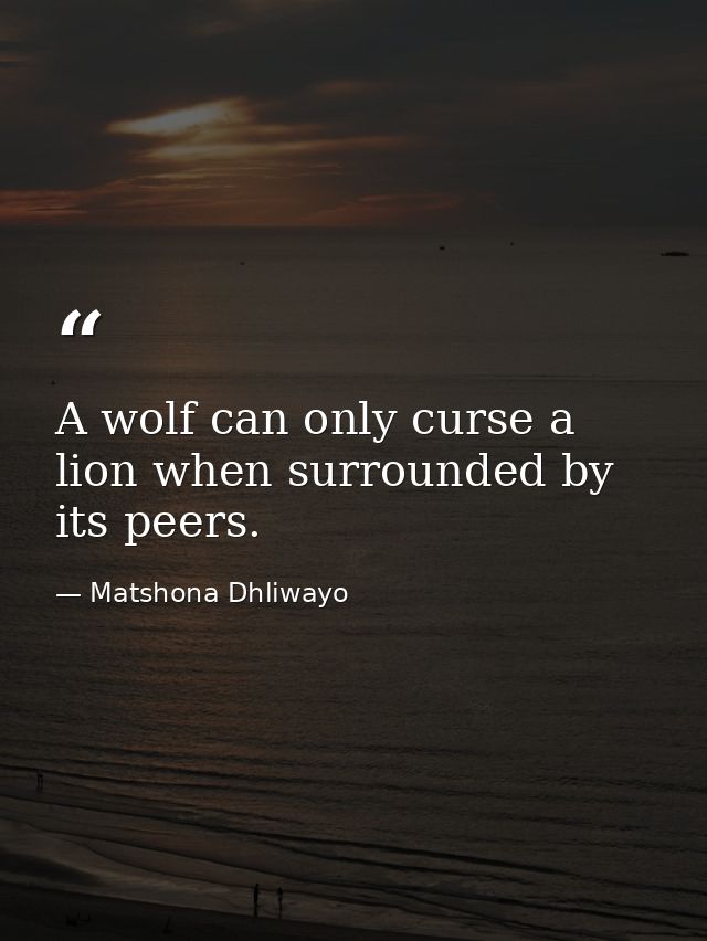 A wolf can only curse a lion when surrounded by its peers. — Matshona Dhliwayo