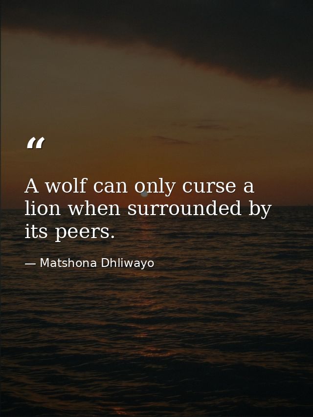 A wolf can only curse a lion when surrounded by its peers. — Matshona Dhliwayo