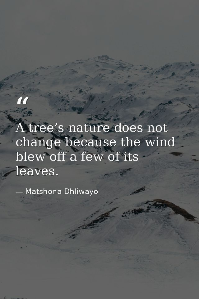 A tree’s nature does not change because the wind blew off a few of its leaves. — Matshona Dhliwayo