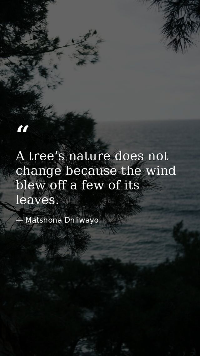 A tree’s nature does not change because the wind blew off a few of its leaves. — Matshona Dhliwayo