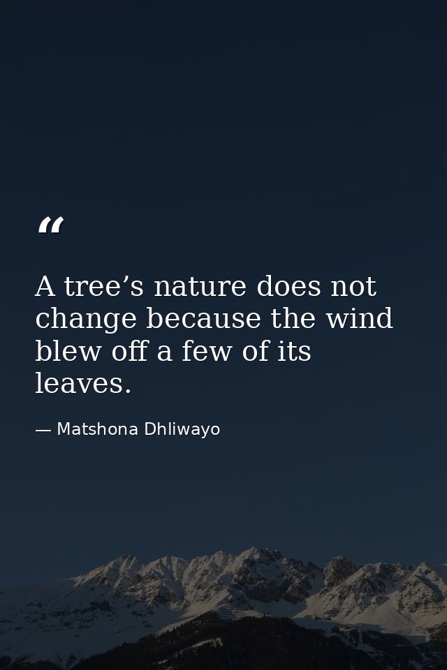 A tree’s nature does not change because the wind blew off a few of its leaves. — Matshona Dhliwayo
