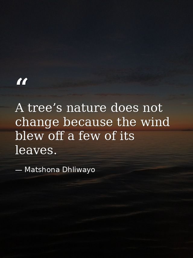 A tree’s nature does not change because the wind blew off a few of its leaves. — Matshona Dhliwayo