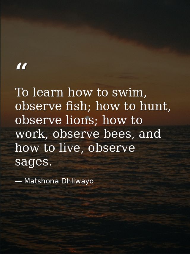 To learn how to swim, observe fish; how to hunt, observe lions; how to work, observe bees, and how to live, observe sage — Matshona Dhliwayo