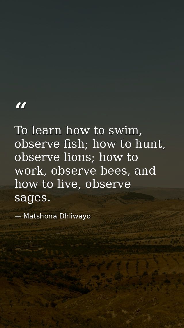 To learn how to swim, observe fish; how to hunt, observe lions; how to work, observe bees, and how to live, observe sage — Matshona Dhliwayo