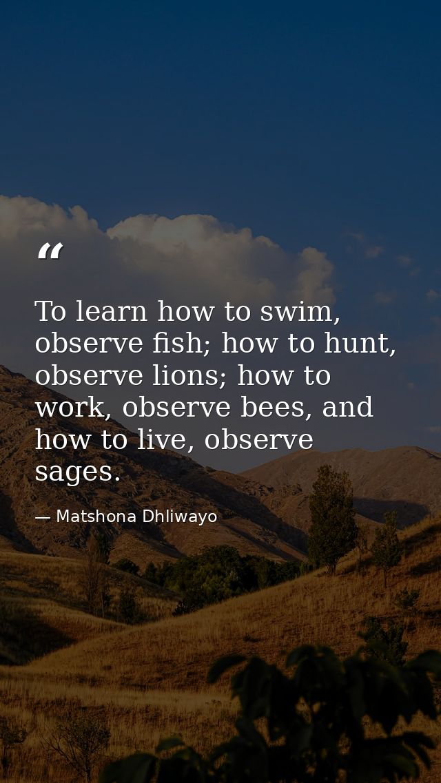 To learn how to swim, observe fish; how to hunt, observe lions; how to work, observe bees, and how to live, observe sage — Matshona Dhliwayo