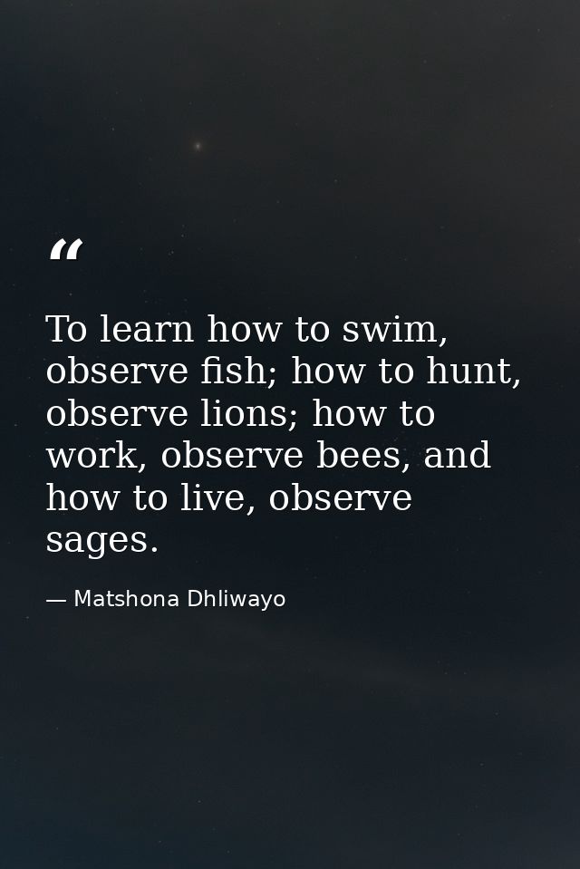 To learn how to swim, observe fish; how to hunt, observe lions; how to work, observe bees, and how to live, observe sage — Matshona Dhliwayo