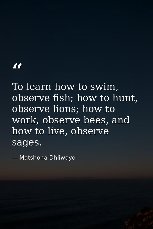 To learn how to swim, observe fish; how to hunt, observe lions; how to work, observe bees, and how to live, observe sage — Matshona Dhliwayo