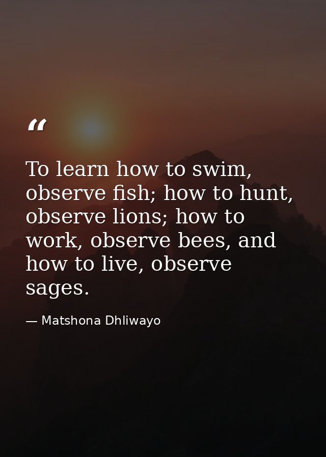 To learn how to swim, observe fish; how to hunt, observe lions; how to work, observe bees, and how to live, observe sage — Matshona Dhliwayo