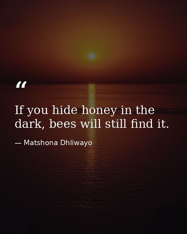 If you hide honey in the dark, bees will still find it. — Matshona Dhliwayo