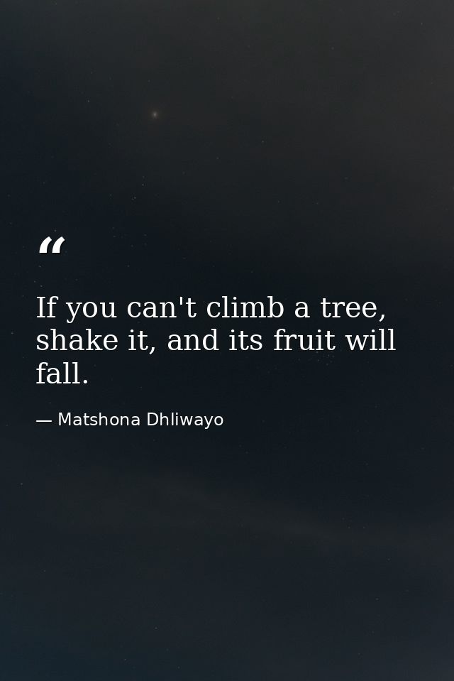 If you can't climb a tree, shake it, and its fruit will fall. — Matshona Dhliwayo