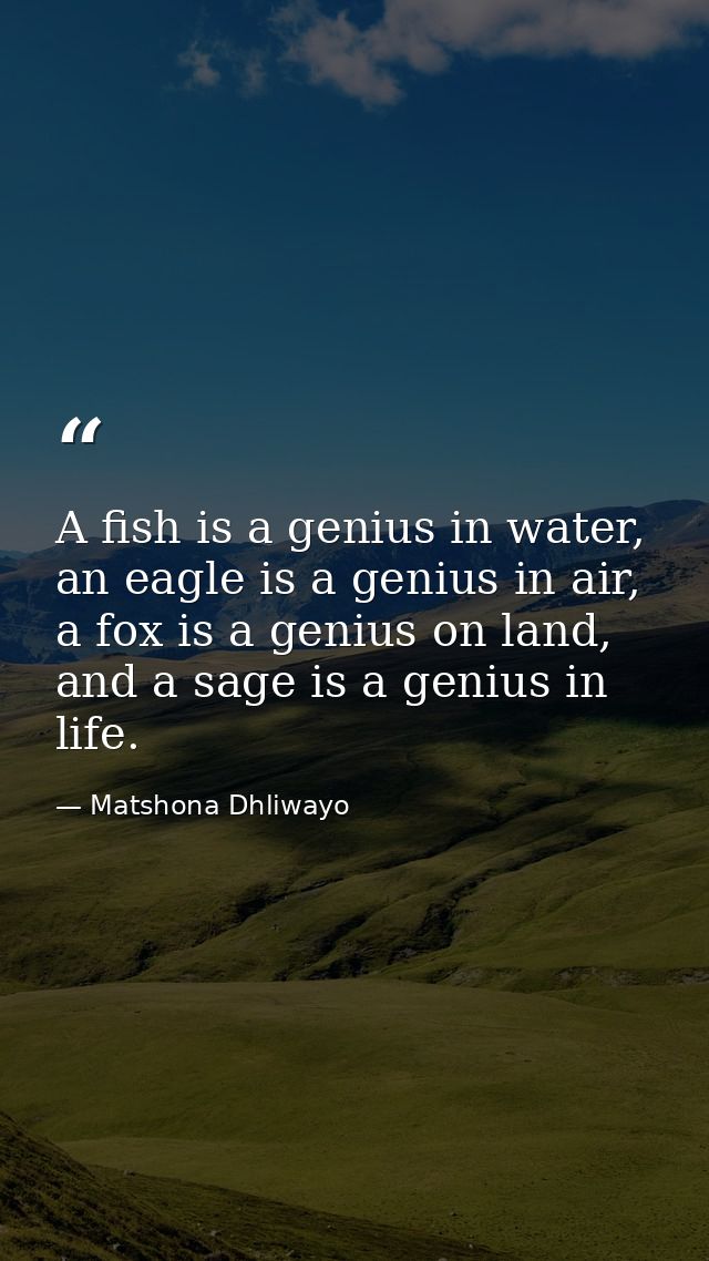 A fish is a genius in water, an eagle is a genius in air, a fox is a genius on land, and a sage is a genius in life.  — Matshona Dhliwayo