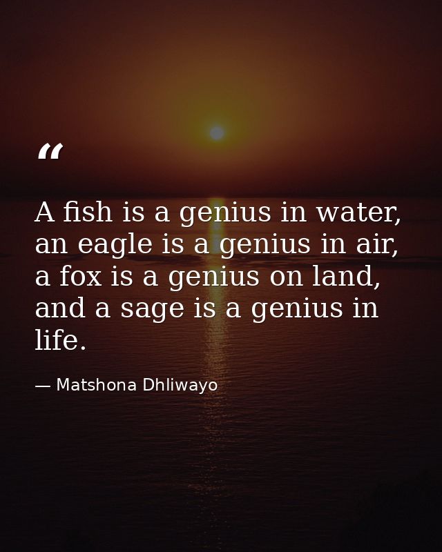 A fish is a genius in water, an eagle is a genius in air, a fox is a genius on land, and a sage is a genius in life.  — Matshona Dhliwayo