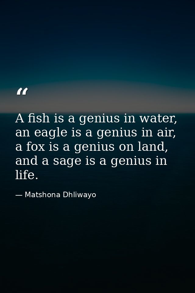 A fish is a genius in water, an eagle is a genius in air, a fox is a genius on land, and a sage is a genius in life.  — Matshona Dhliwayo