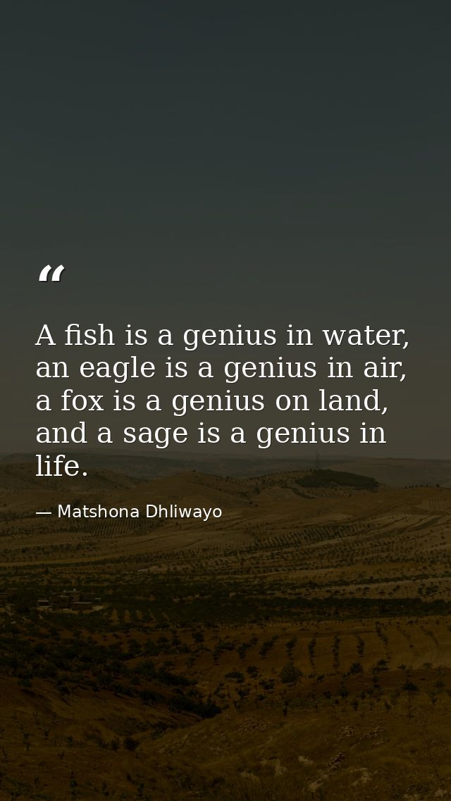 A fish is a genius in water, an eagle is a genius in air, a fox is a genius on land, and a sage is a genius in life.  — Matshona Dhliwayo