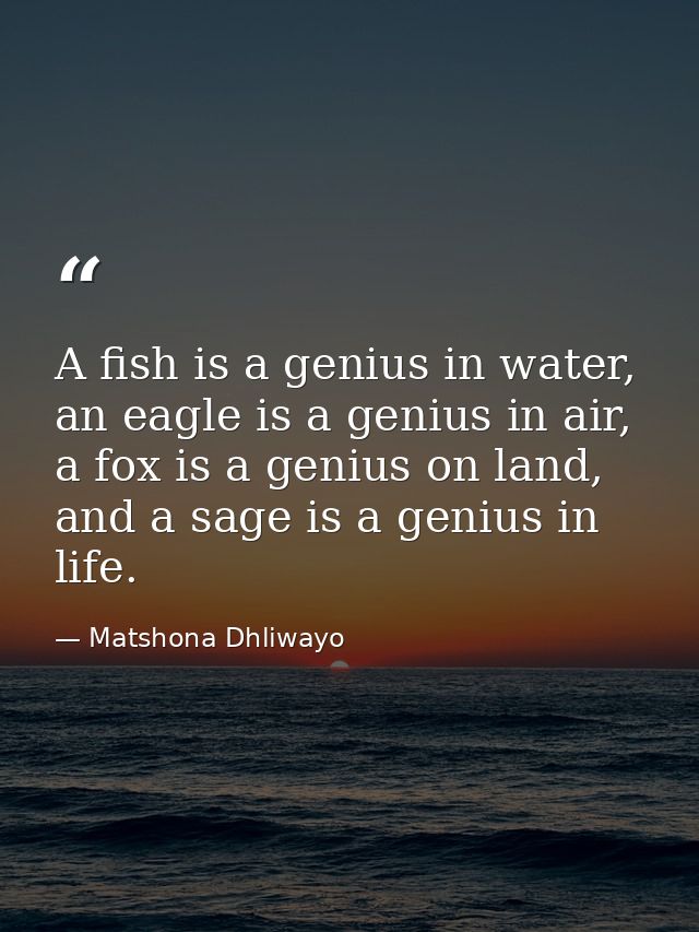 A fish is a genius in water, an eagle is a genius in air, a fox is a genius on land, and a sage is a genius in life.  — Matshona Dhliwayo