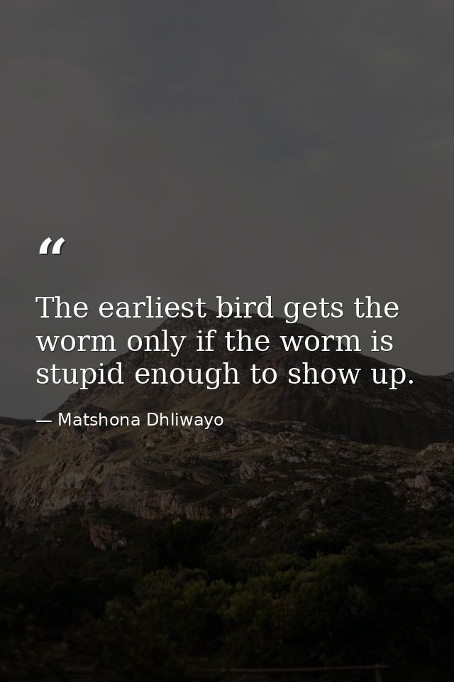 The earliest bird gets the worm only if the worm is stupid enough to show up. — Matshona Dhliwayo