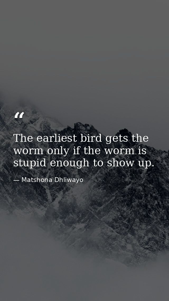 The earliest bird gets the worm only if the worm is stupid enough to show up. — Matshona Dhliwayo