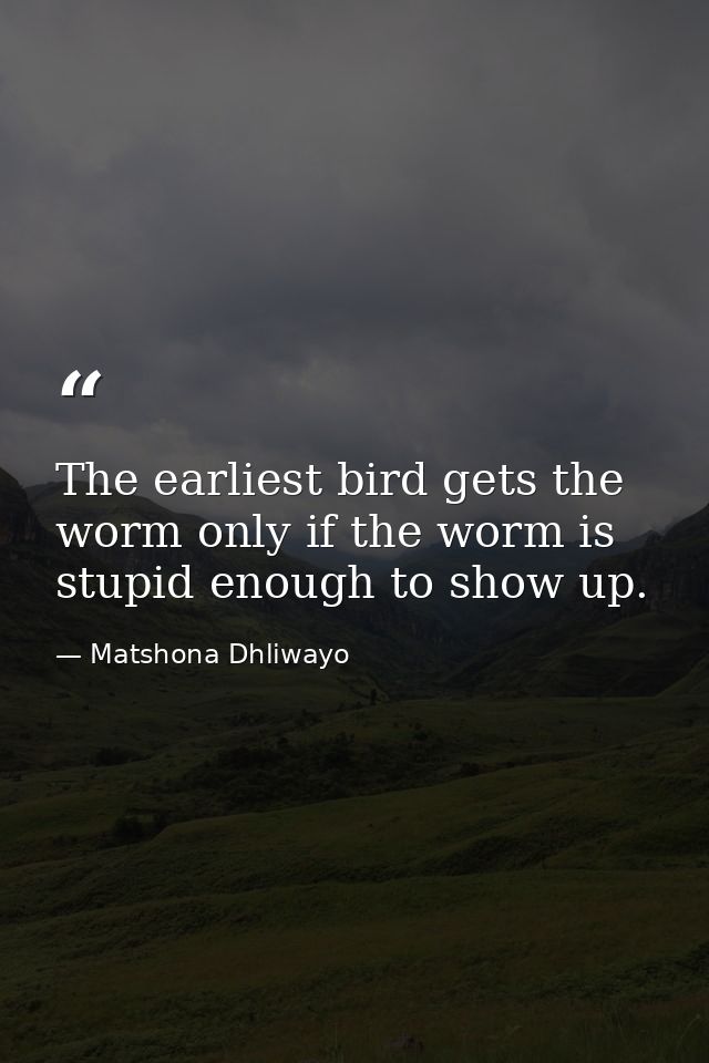 The earliest bird gets the worm only if the worm is stupid enough to show up. — Matshona Dhliwayo