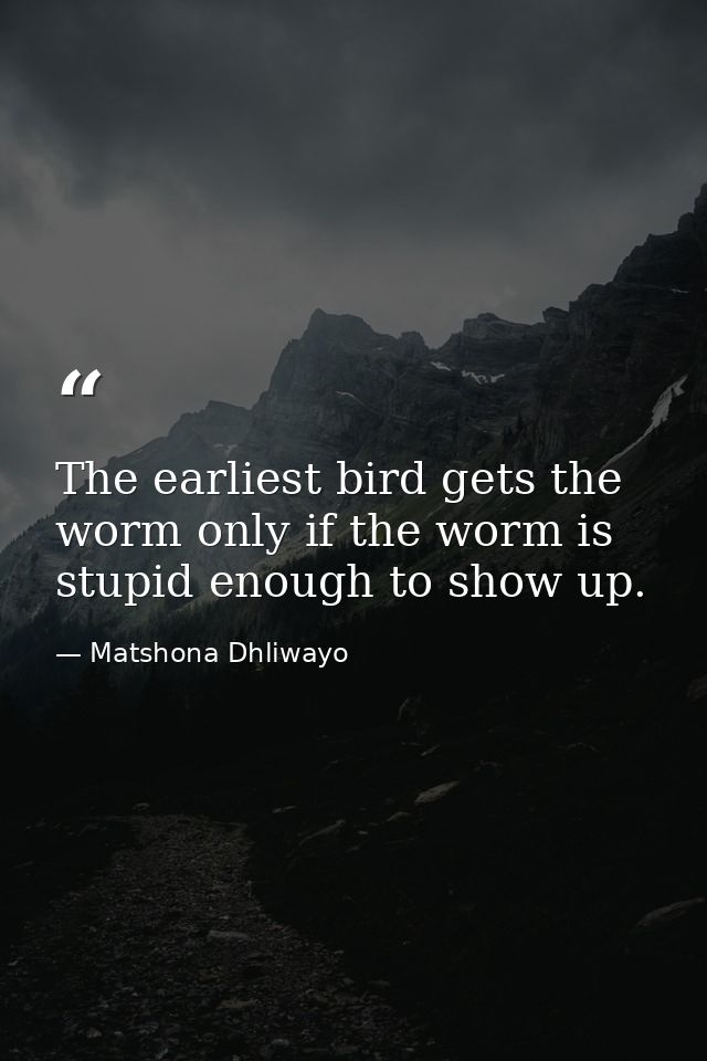 The earliest bird gets the worm only if the worm is stupid enough to show up. — Matshona Dhliwayo