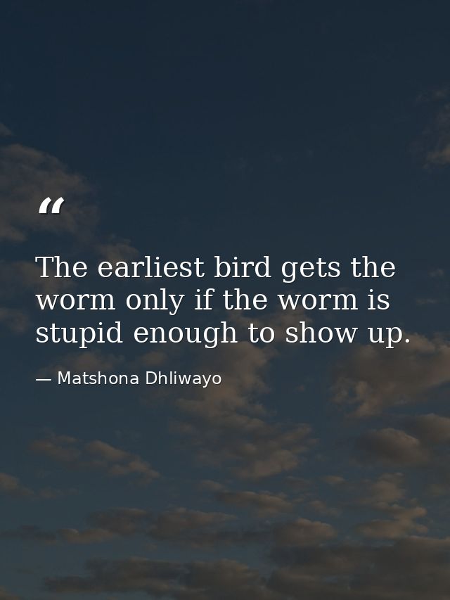 The earliest bird gets the worm only if the worm is stupid enough to show up. — Matshona Dhliwayo