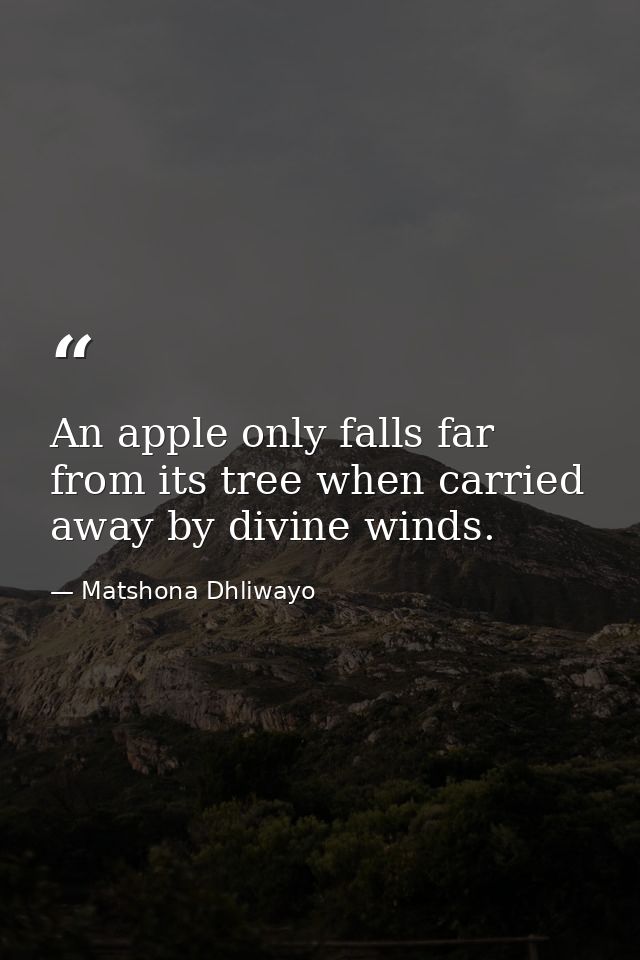 An apple only falls far from its tree when carried away by divine winds. — Matshona Dhliwayo