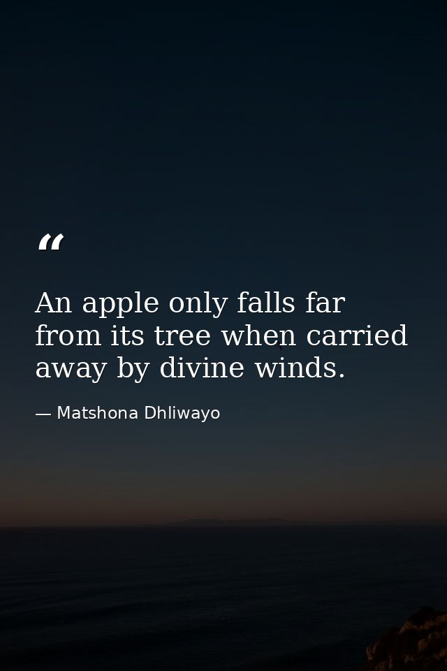 An apple only falls far from its tree when carried away by divine winds. — Matshona Dhliwayo