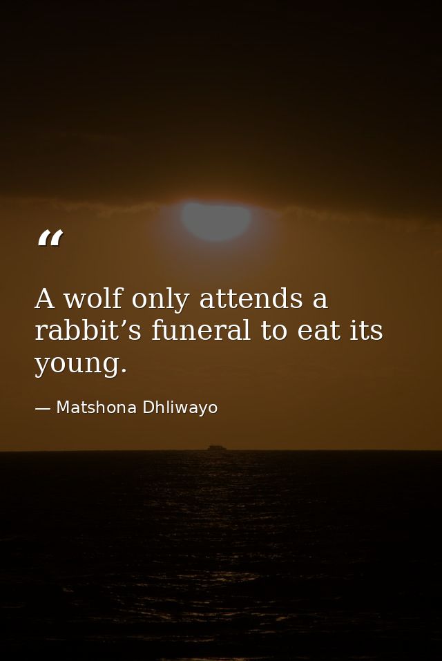 A wolf only attends a rabbit’s funeral to eat its young. — Matshona Dhliwayo