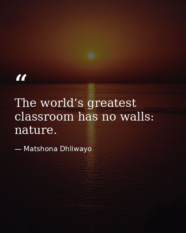 The world’s greatest classroom has no walls: nature. — Matshona Dhliwayo