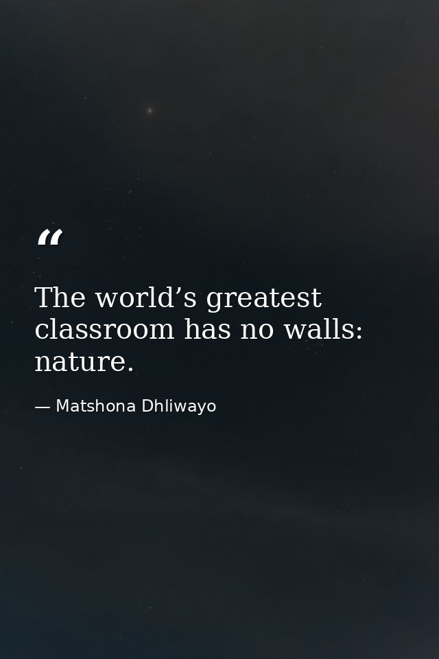 The world’s greatest classroom has no walls: nature. — Matshona Dhliwayo