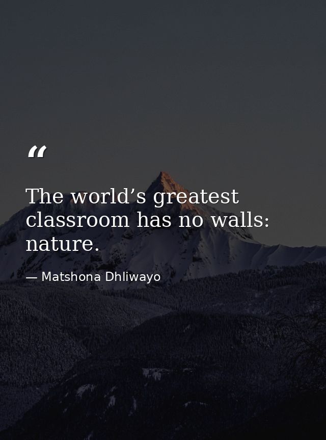 The world’s greatest classroom has no walls: nature. — Matshona Dhliwayo