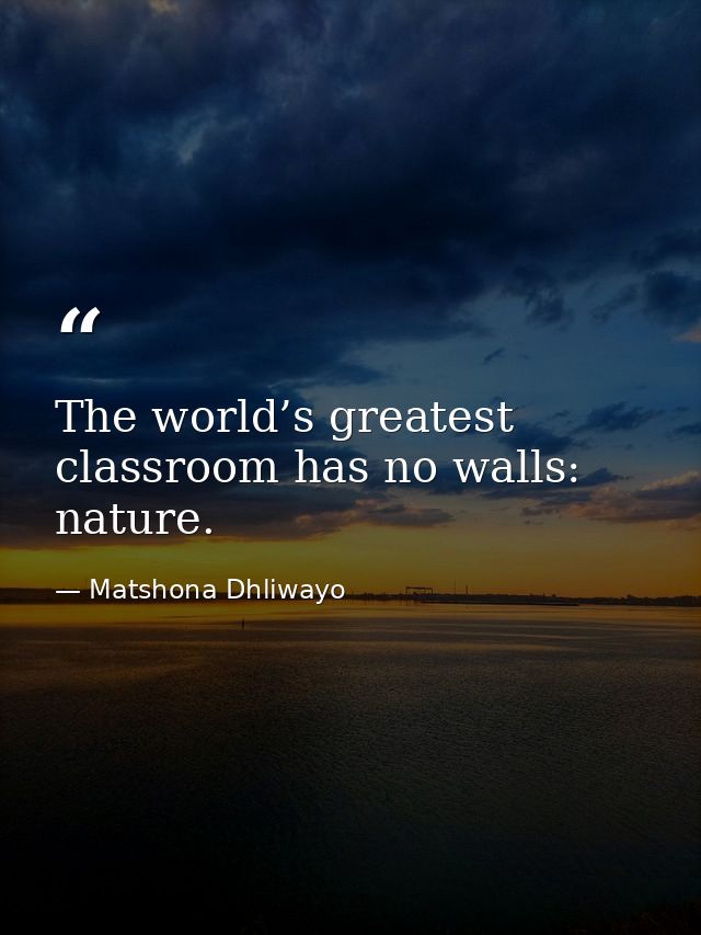 The world’s greatest classroom has no walls: nature. — Matshona Dhliwayo