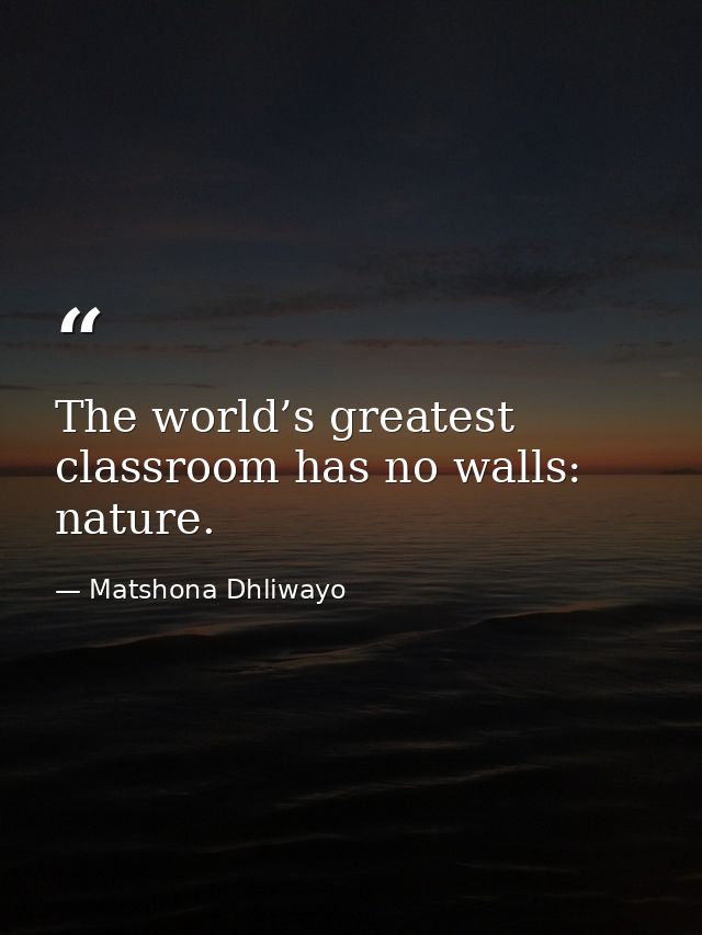 The world’s greatest classroom has no walls: nature. — Matshona Dhliwayo