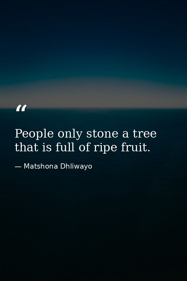 People only stone a tree that is full of ripe fruit. — Matshona Dhliwayo