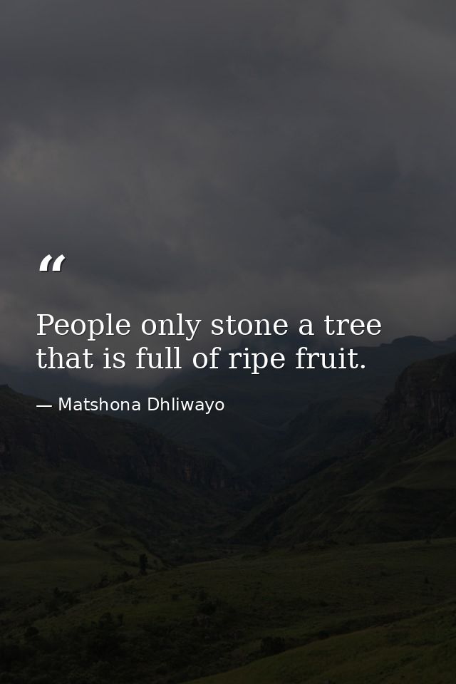 People only stone a tree that is full of ripe fruit. — Matshona Dhliwayo