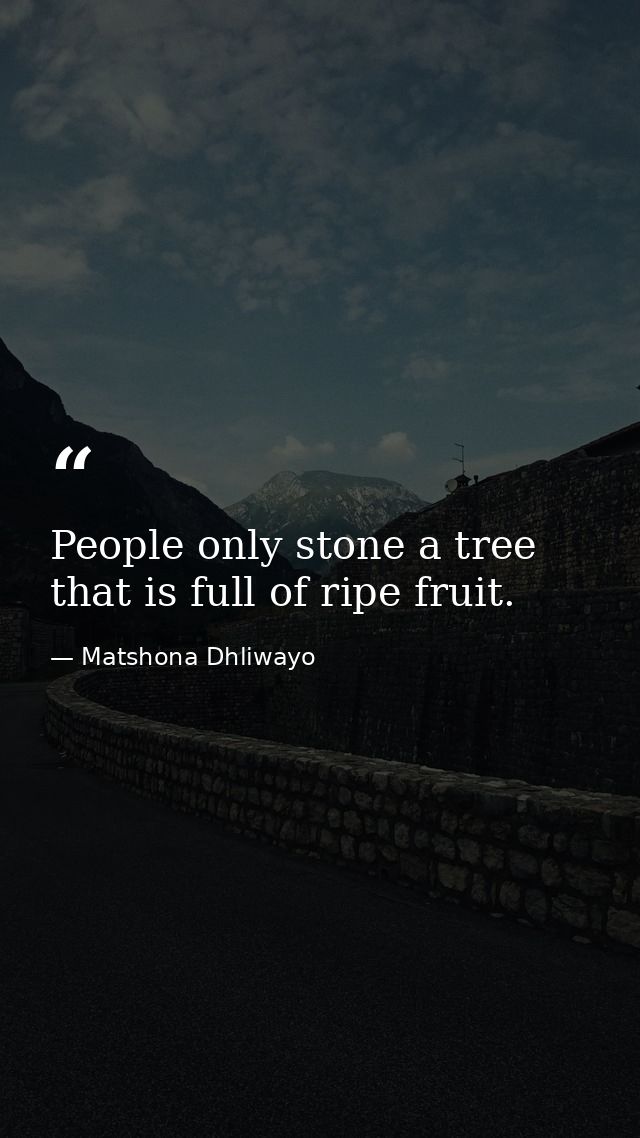 People only stone a tree that is full of ripe fruit. — Matshona Dhliwayo