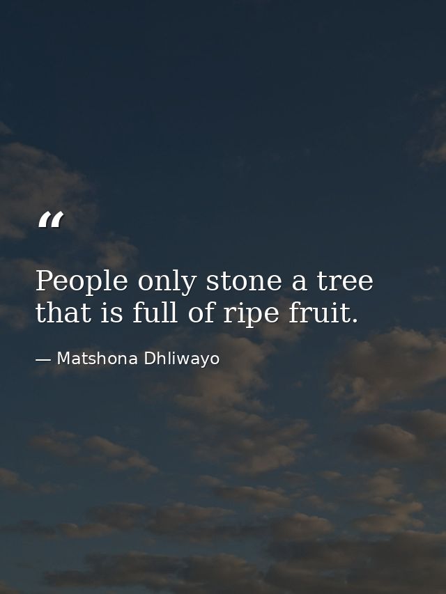 People only stone a tree that is full of ripe fruit. — Matshona Dhliwayo