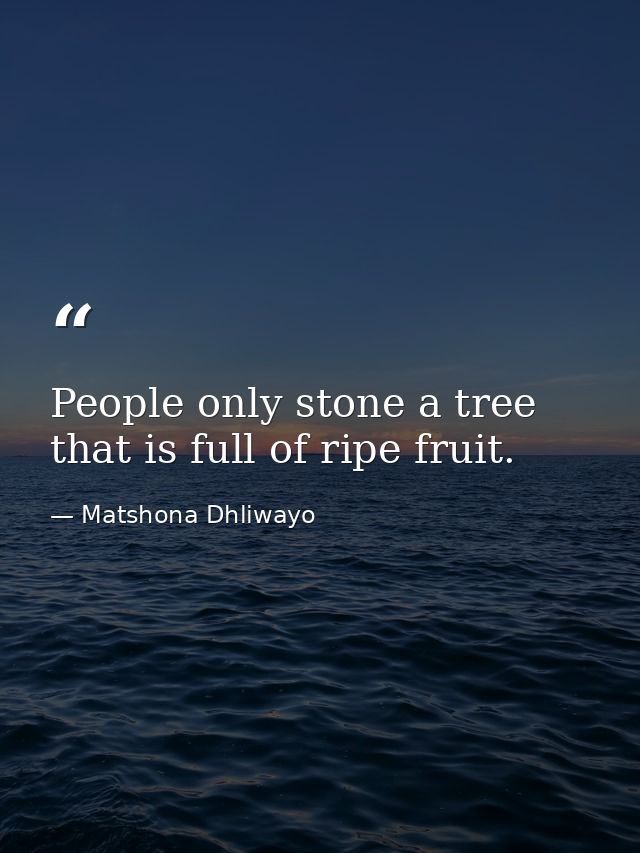 People only stone a tree that is full of ripe fruit. — Matshona Dhliwayo