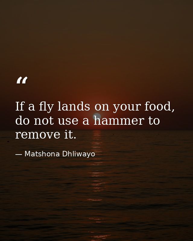 If a fly lands on your food, do not use a hammer to remove it. — Matshona Dhliwayo