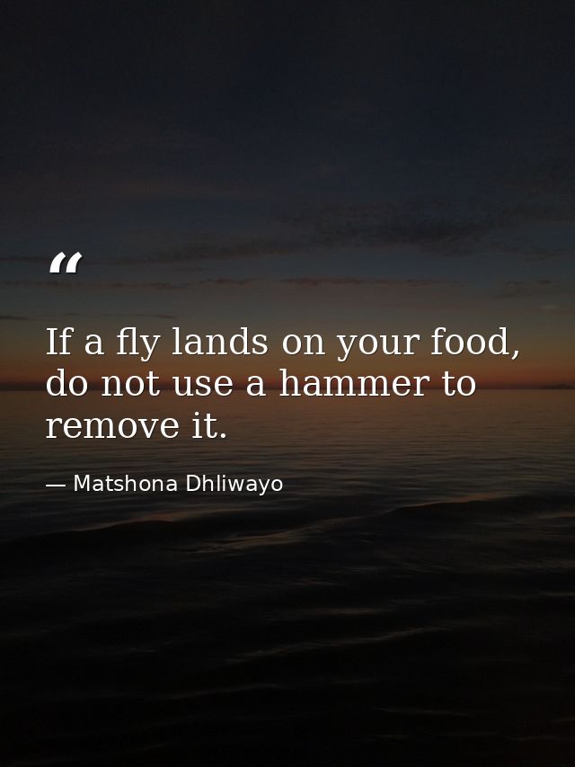 If a fly lands on your food, do not use a hammer to remove it. — Matshona Dhliwayo