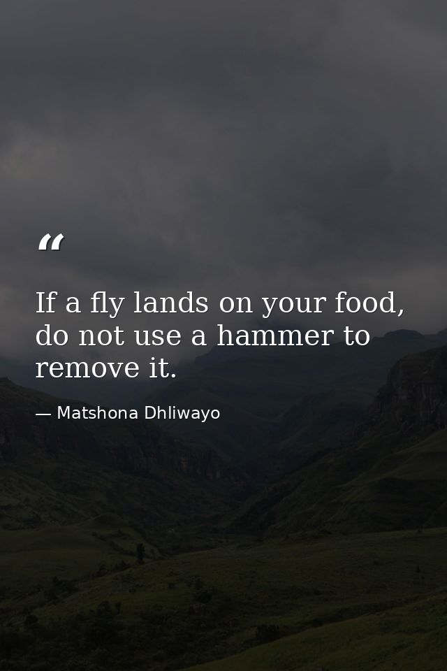 If a fly lands on your food, do not use a hammer to remove it. — Matshona Dhliwayo