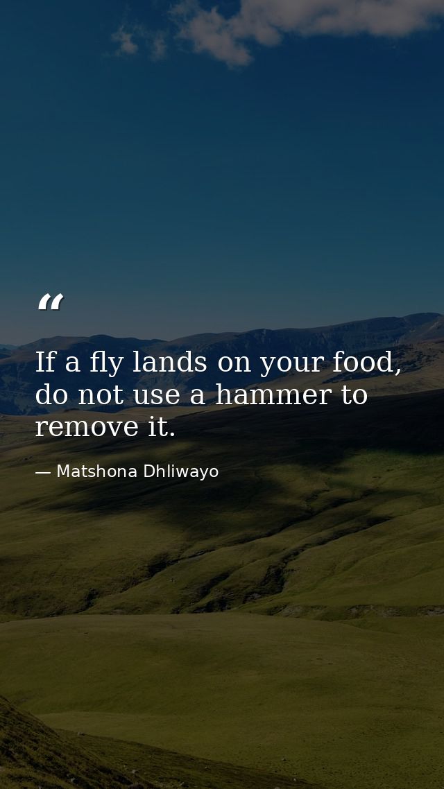 If a fly lands on your food, do not use a hammer to remove it. — Matshona Dhliwayo