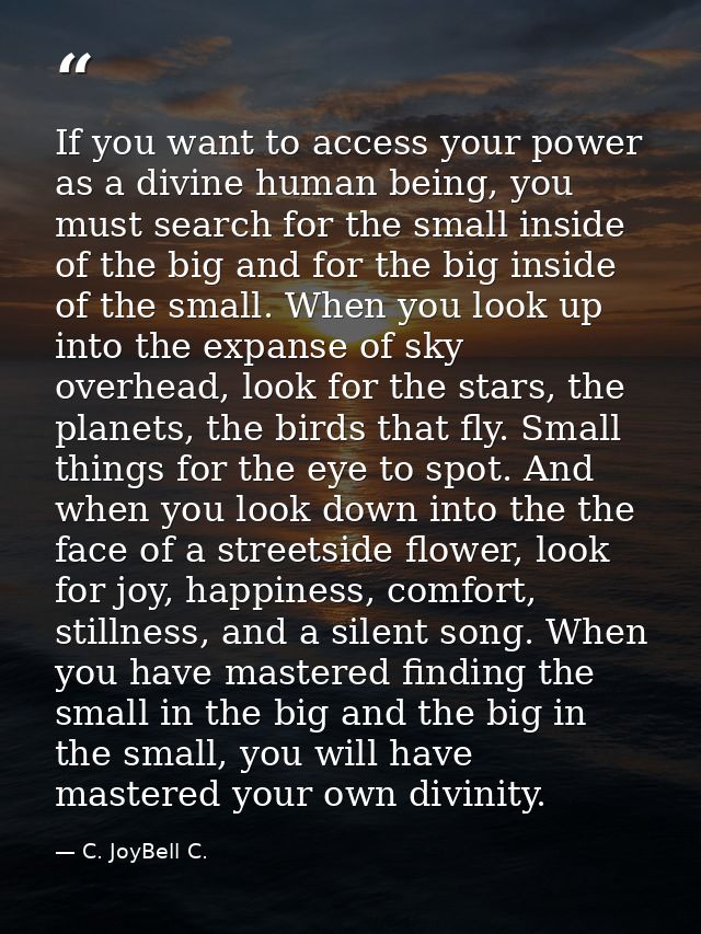 If you want to access your power as a divine human being, you must search for the small inside of the big and for the bi — C. JoyBell C.
