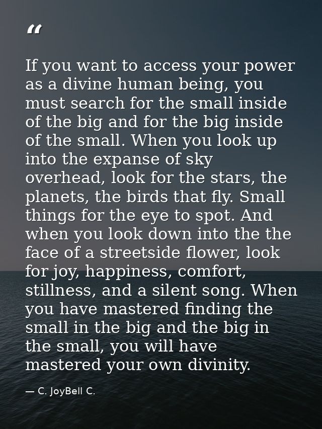 If you want to access your power as a divine human being, you must search for the small inside of the big and for the bi — C. JoyBell C.