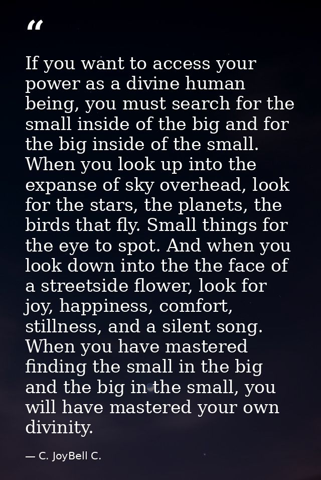 If you want to access your power as a divine human being, you must search for the small inside of the big and for the bi — C. JoyBell C.