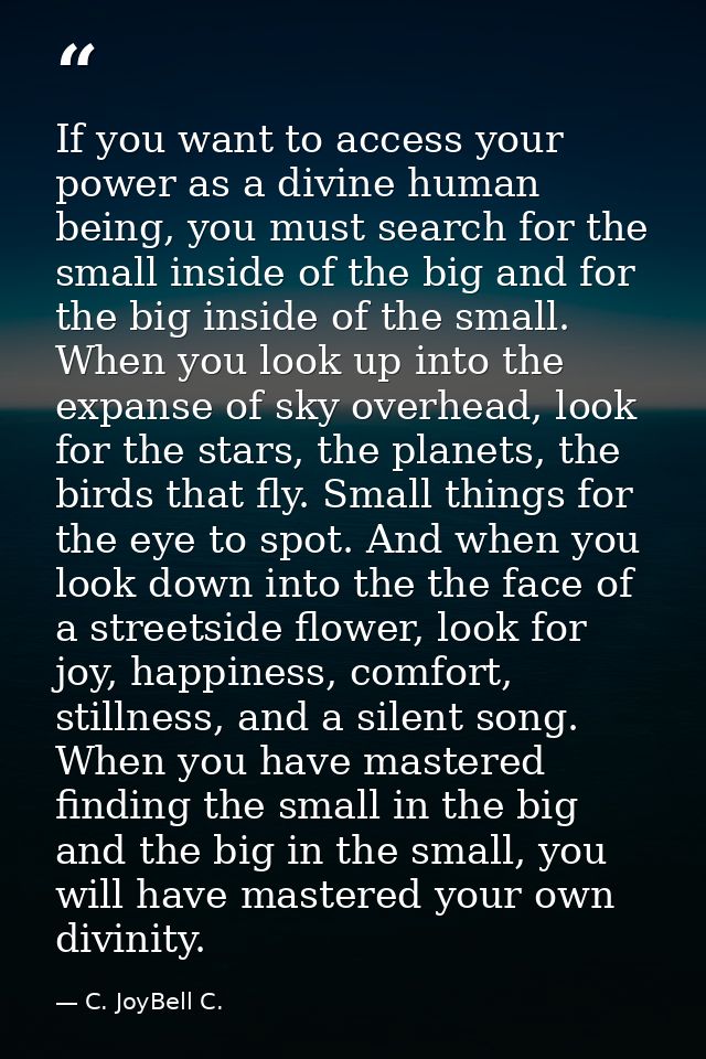 If you want to access your power as a divine human being, you must search for the small inside of the big and for the bi — C. JoyBell C.