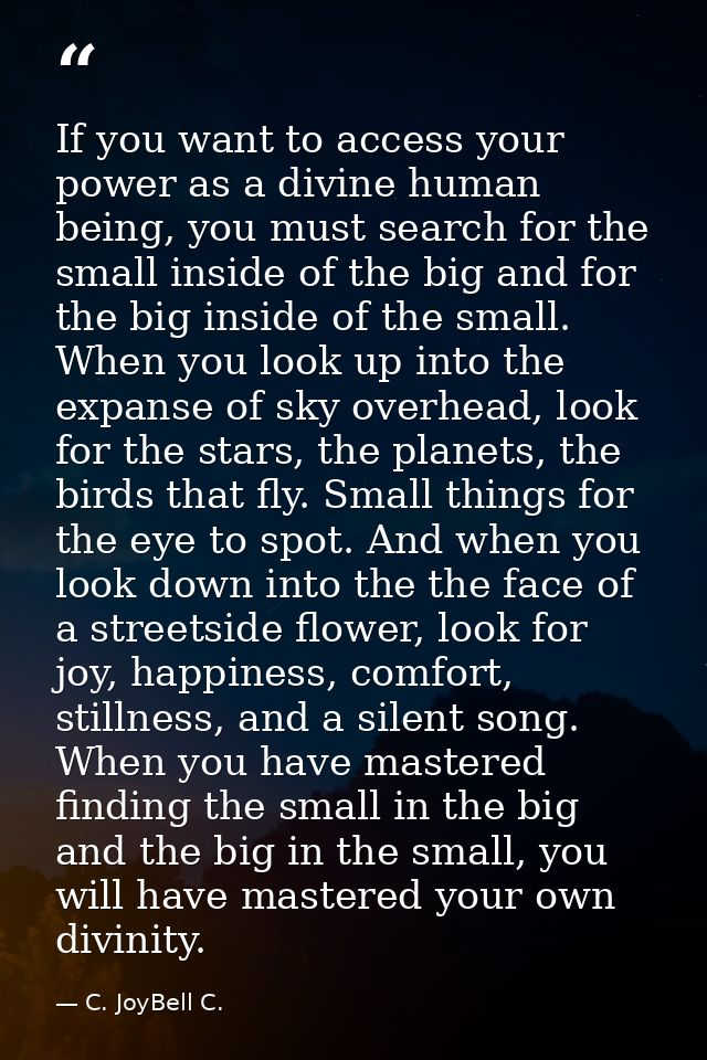 If you want to access your power as a divine human being, you must search for the small inside of the big and for the bi — C. JoyBell C.