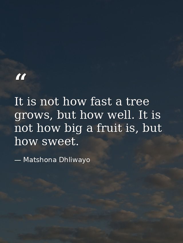 It is not how fast a tree grows, but how well. It is not how big a fruit is, but how sweet. — Matshona Dhliwayo