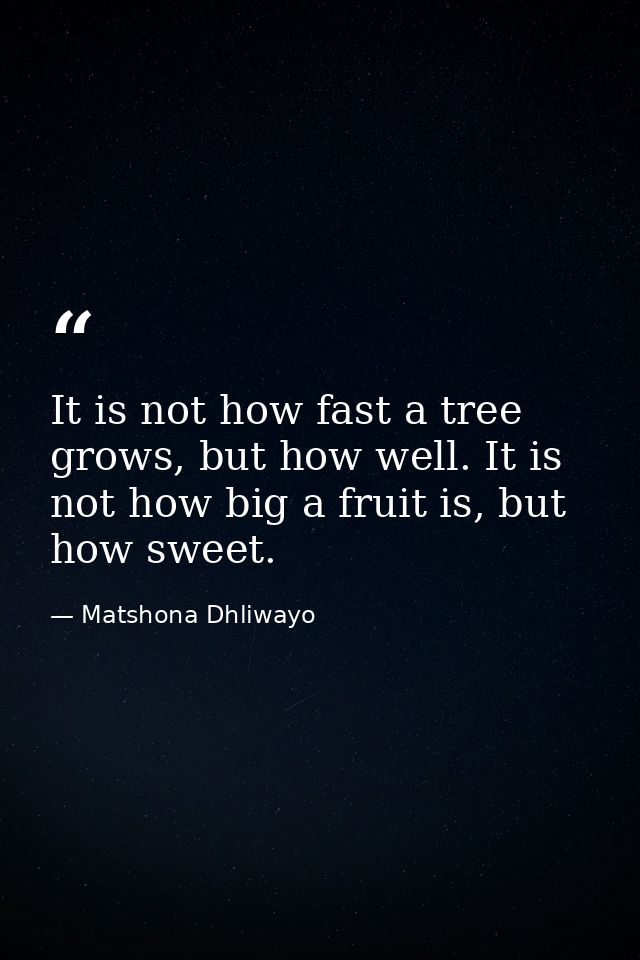 It is not how fast a tree grows, but how well. It is not how big a fruit is, but how sweet. — Matshona Dhliwayo