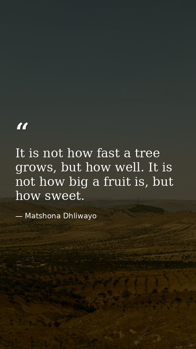 It is not how fast a tree grows, but how well. It is not how big a fruit is, but how sweet. — Matshona Dhliwayo